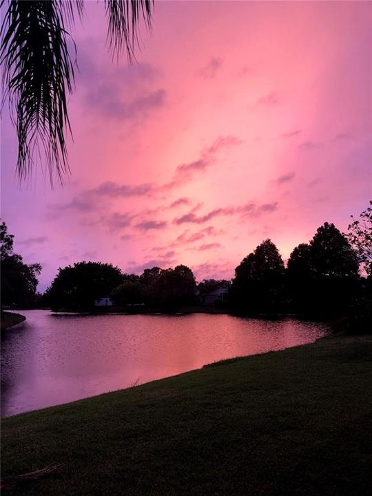 Sunset off back patio