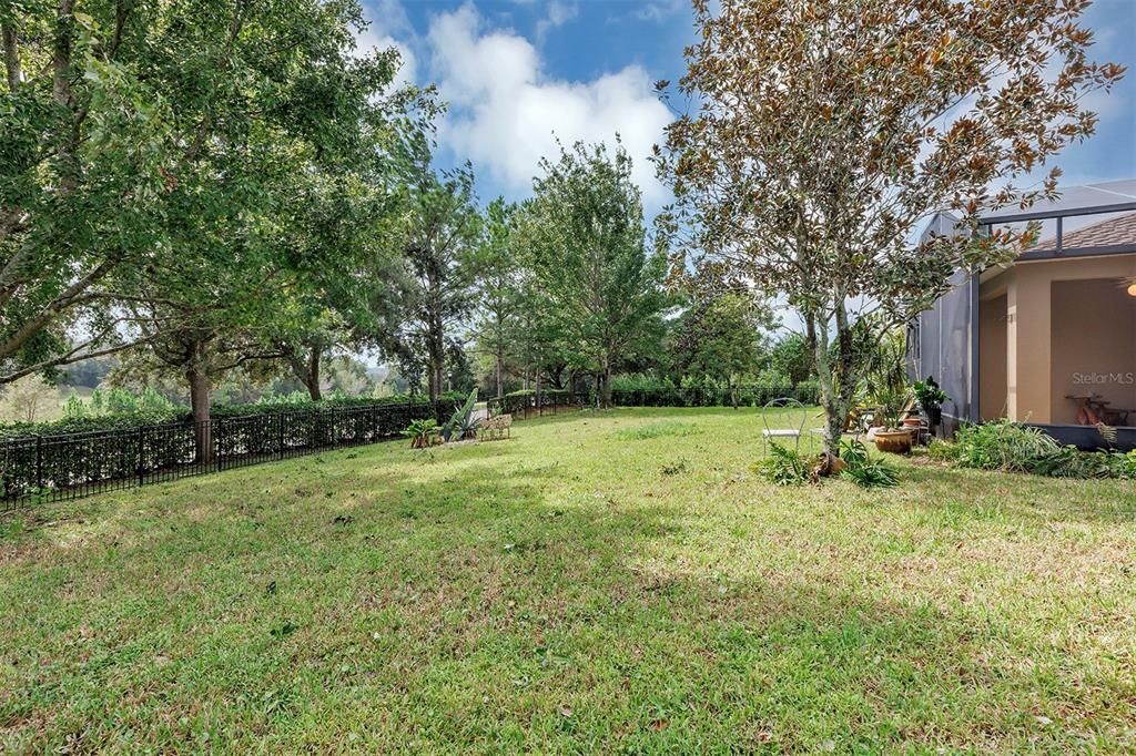 Oversized fenced yard