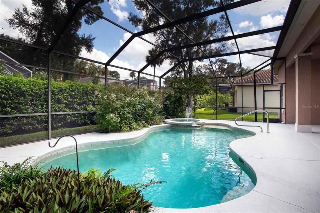 Pool and spa with screen enclosure