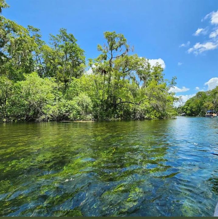 Rainbow Springs