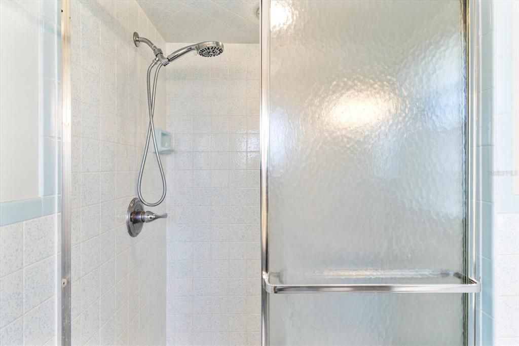 Tiled Shower w/ Shower Door & Hand Held Shower Head