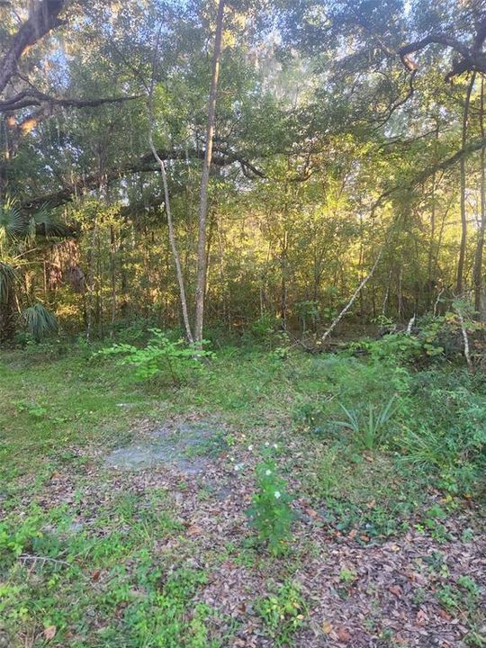 На продажу: $90,000 (1.08 acres)