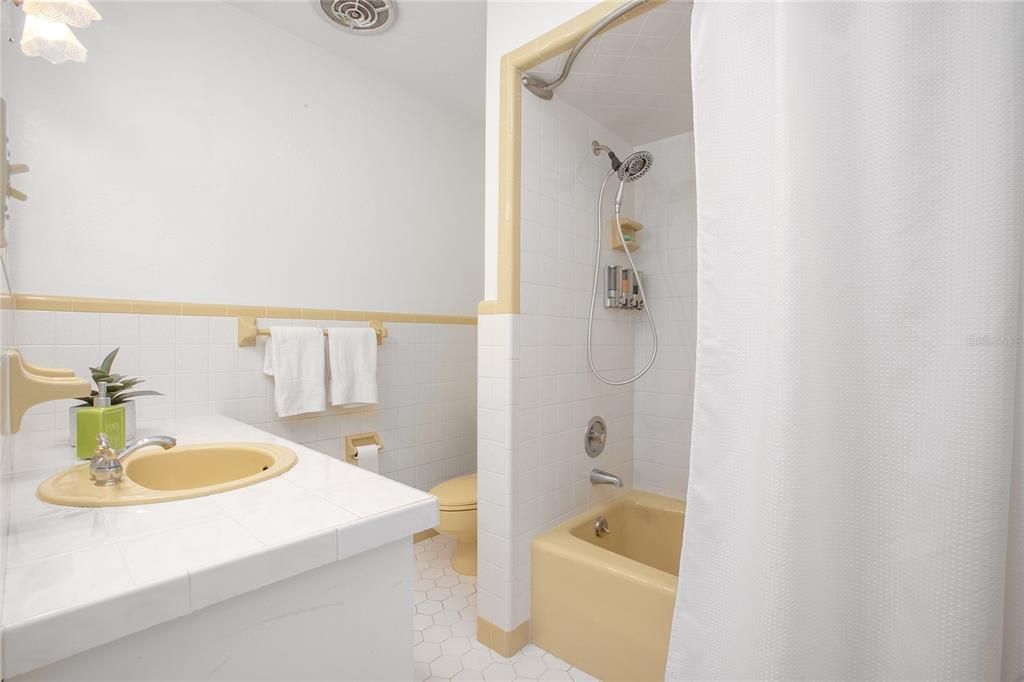 Hall/Guest Bathroom