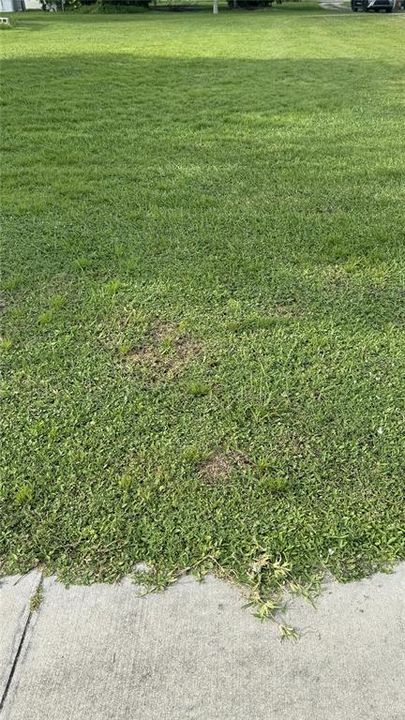 vacant lot sidewalk on south side