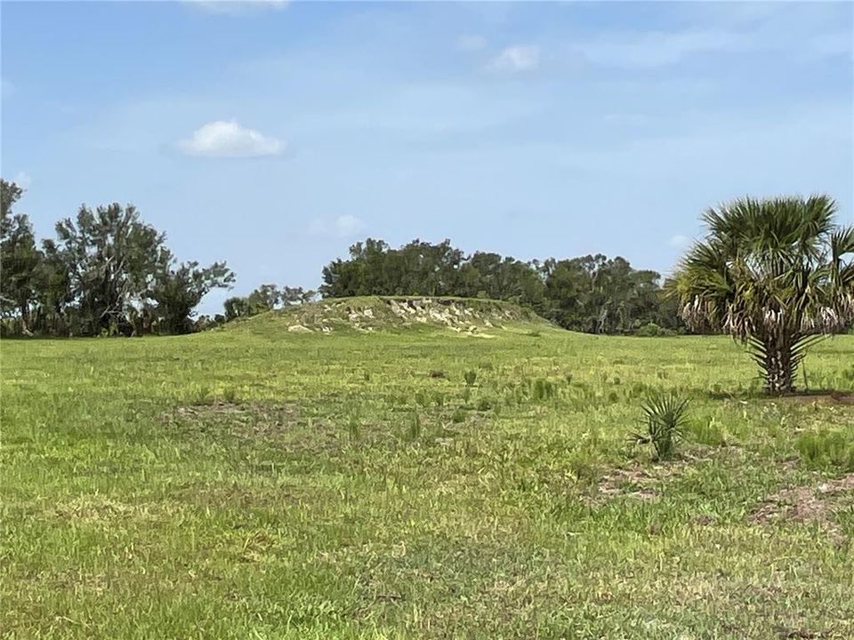 Large mound of fill dirt on site