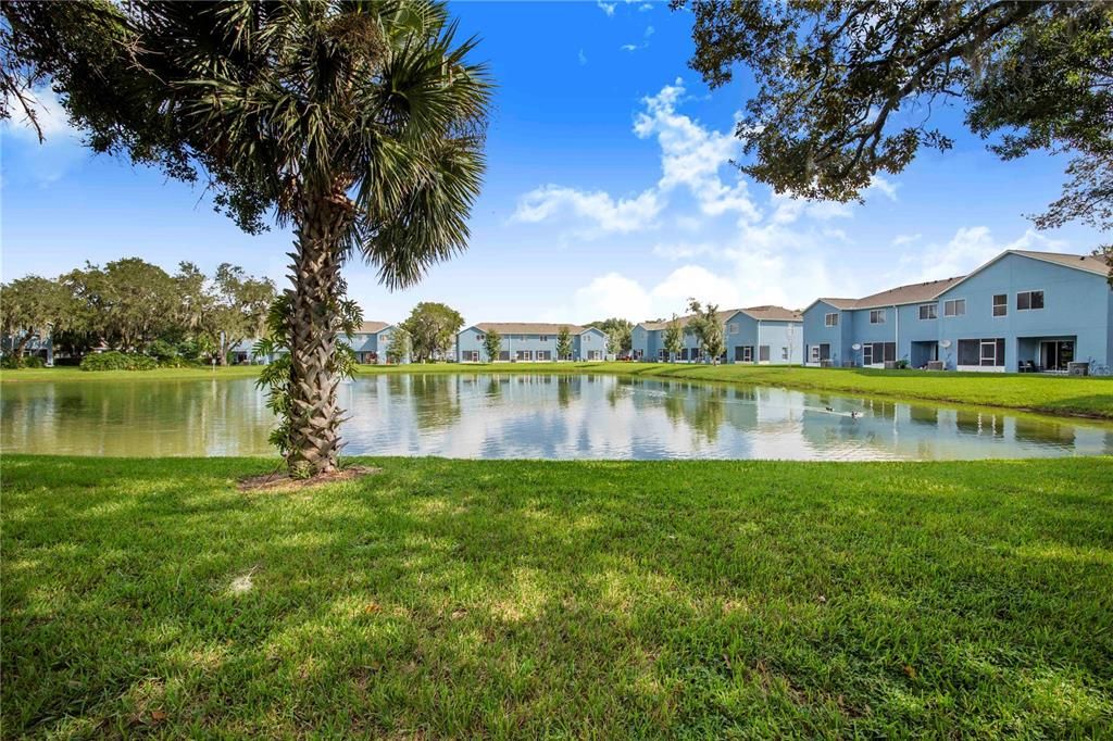 From the rear Patio. Imagine sipping your coffe in the morning with these sweeping views!