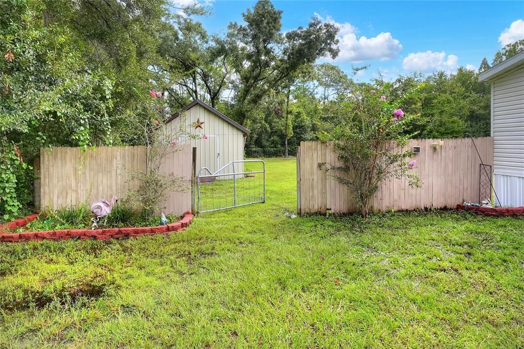 Fenced back yard