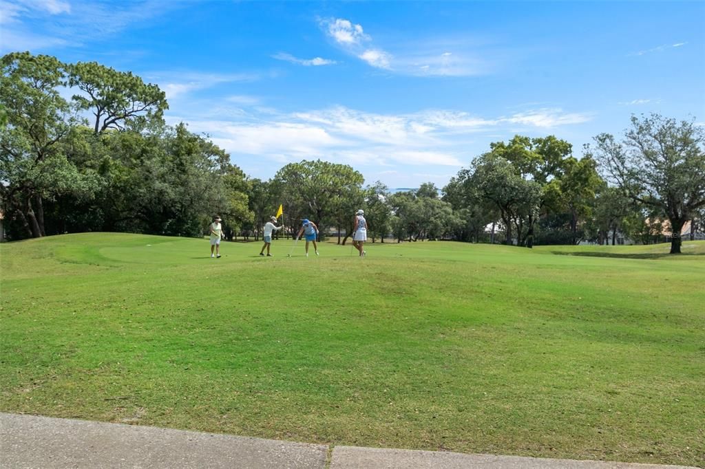 7TH GREEN