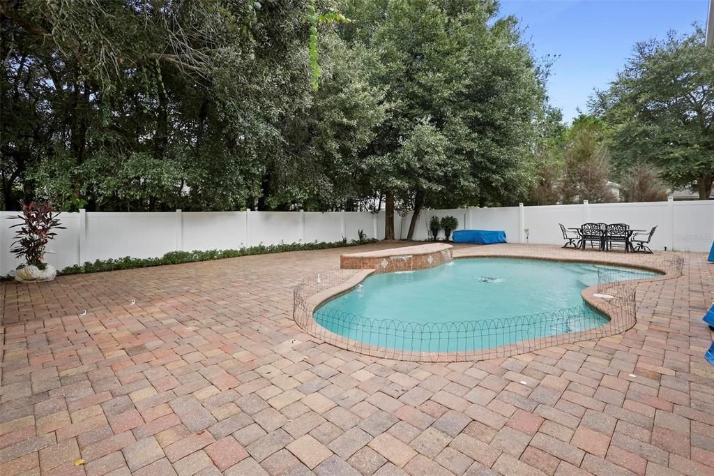 Pool and Patio