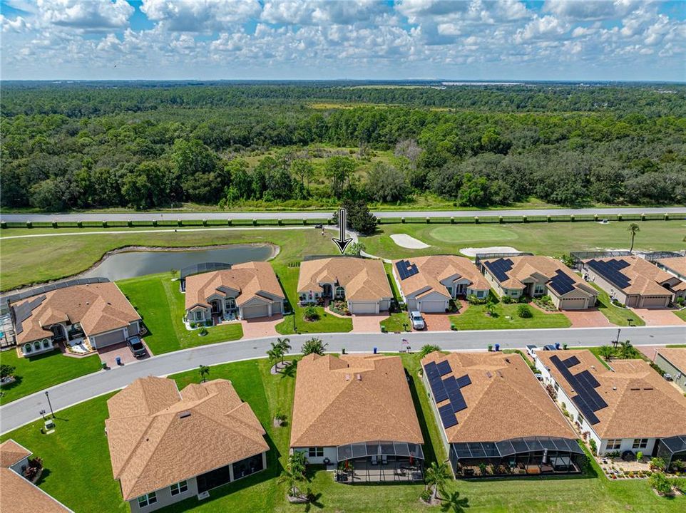 Neighborhood drone view