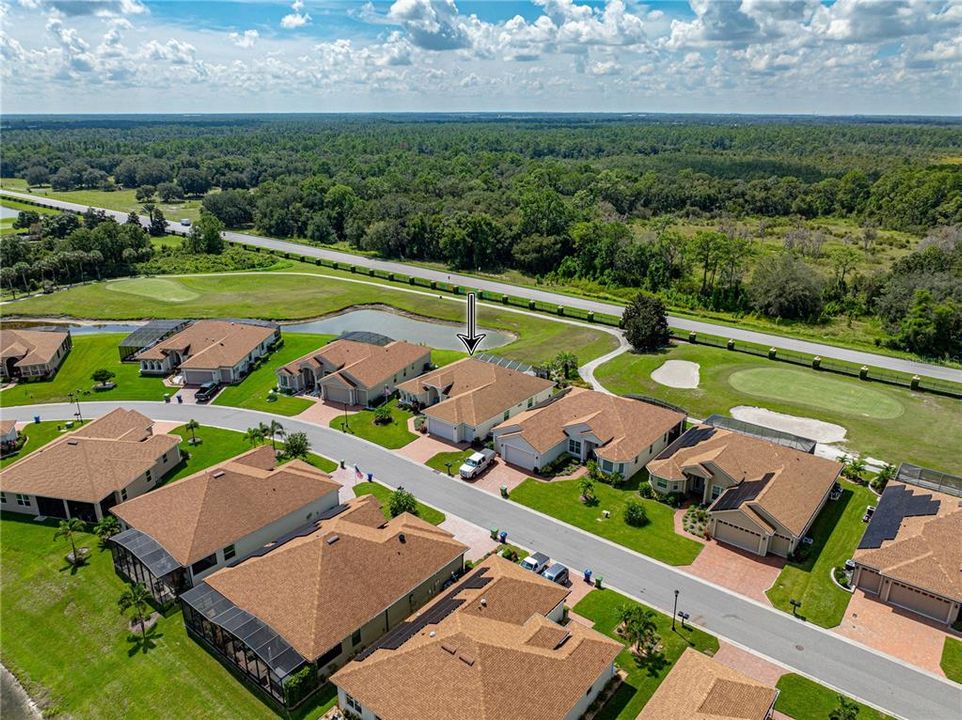 Neighborhood drone view