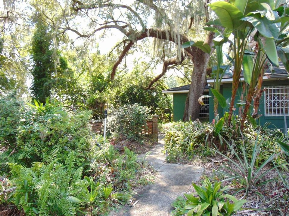 crowded by lush plantings all along the route.