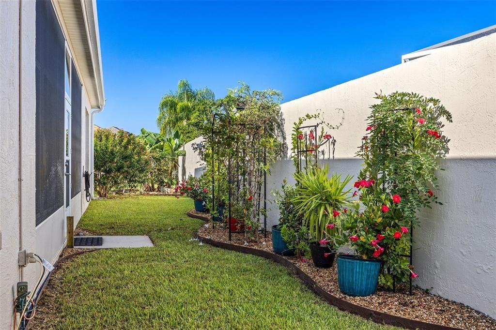 View of Backyard with Privacy Wall