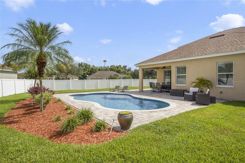 Gorgeous pool