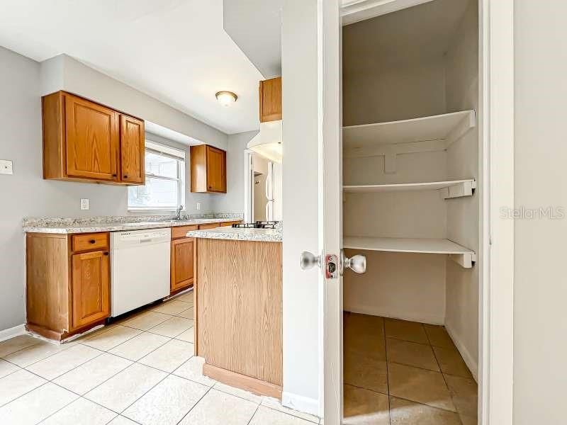 Kitchen and Pantry