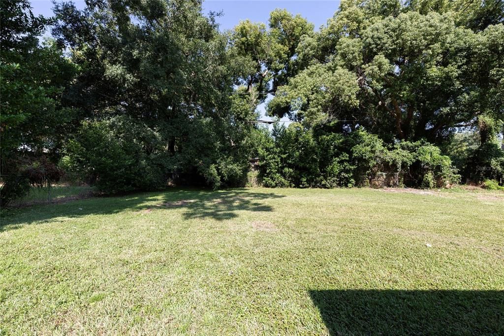 Backyard .27 acre lot