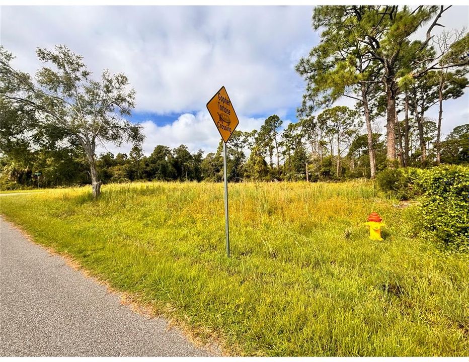 На продажу: $43,000 (0.30 acres)