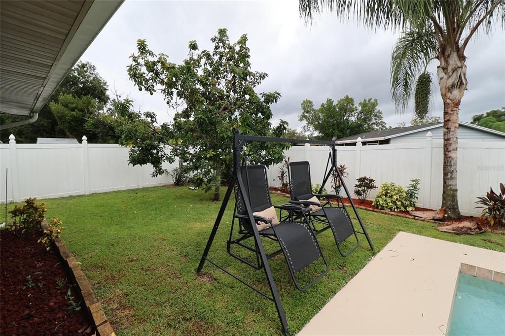 Side yard with avocado tree