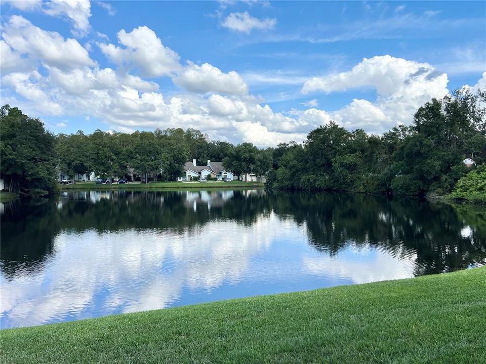 Pond View