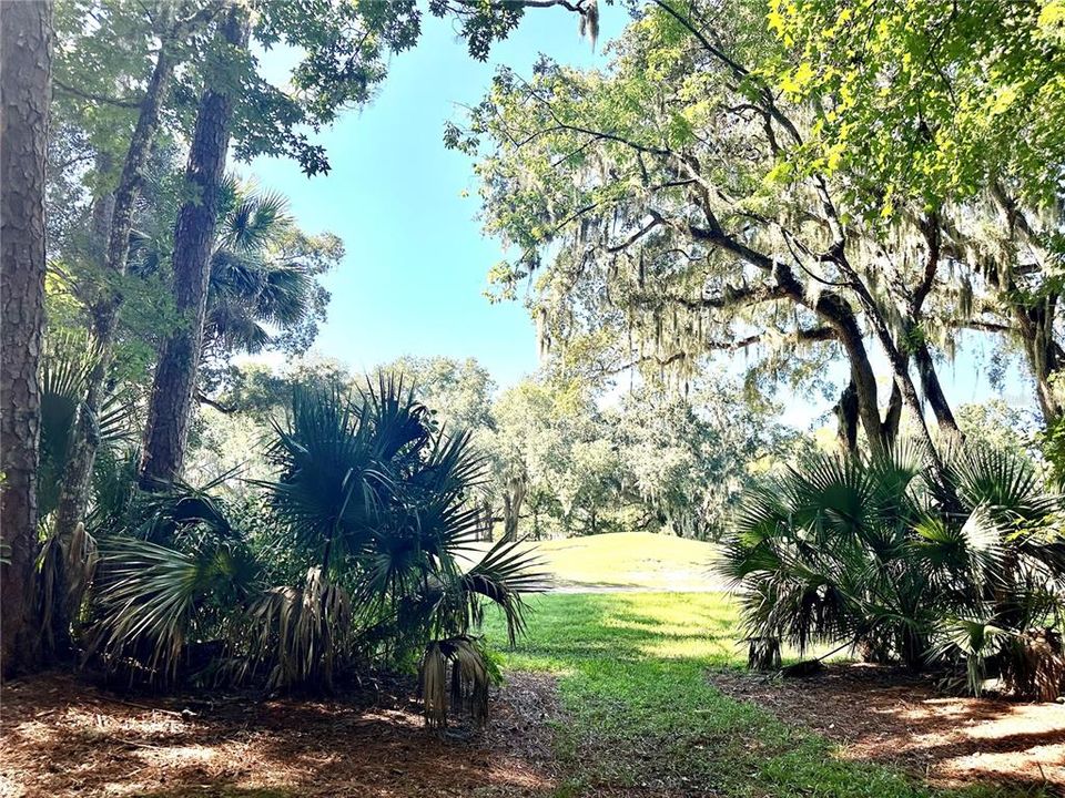 Back of home facing the golf course