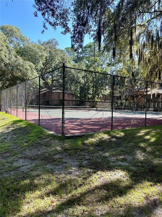 Tennis courts opposite the front door