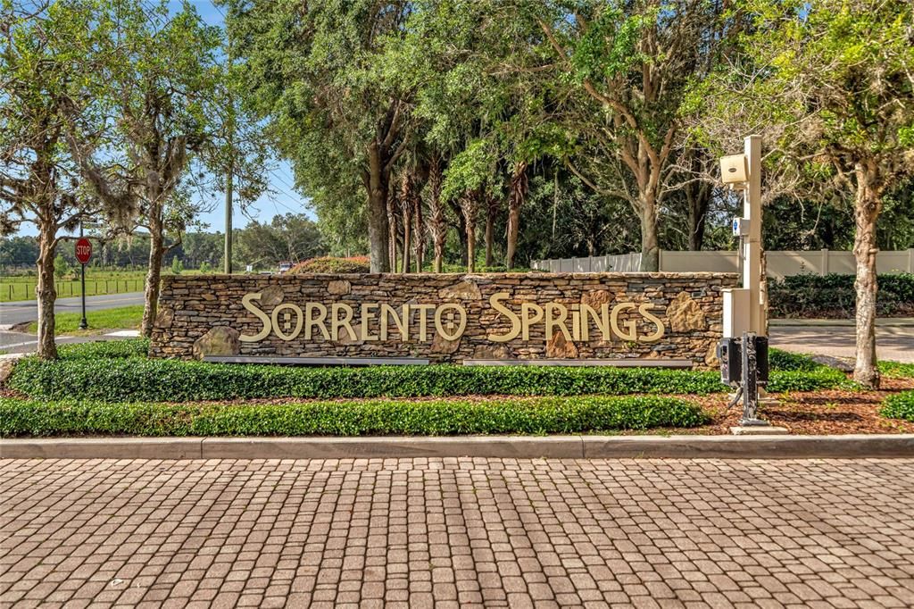 Welcome to Sorrento Springs