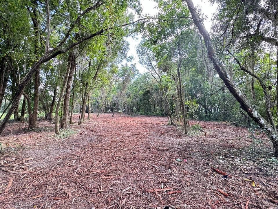 En Venta: $89,900 (0.98 acres)