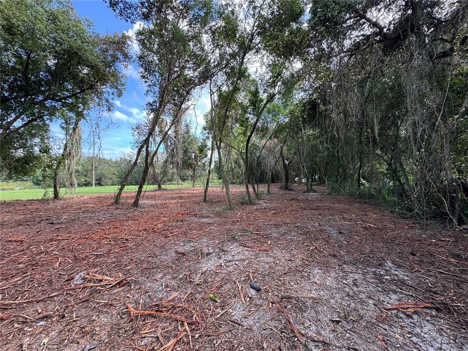 En Venta: $89,900 (0.98 acres)