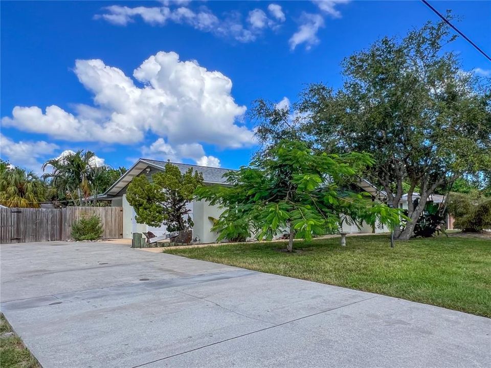 Driveway to Garage