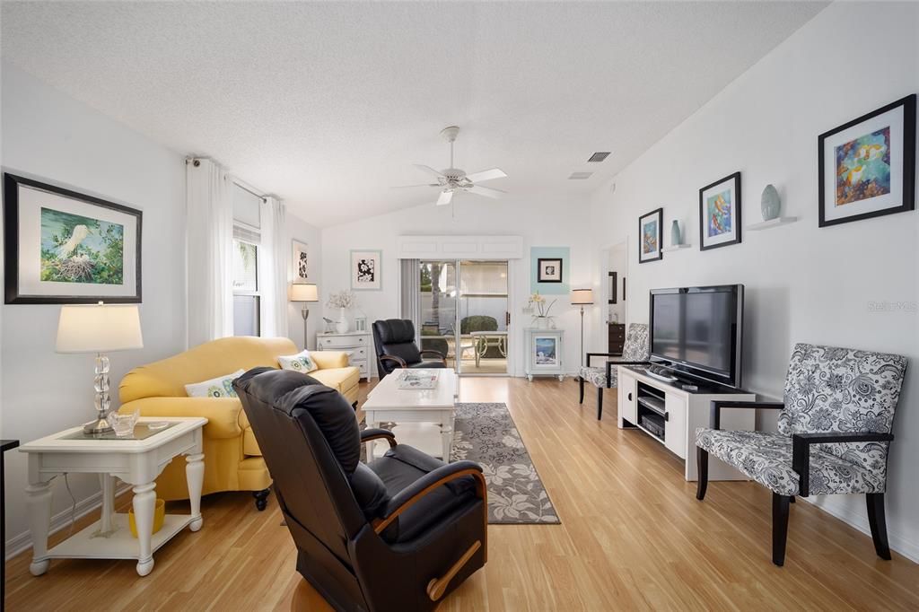 Ceiling Fan in Living Room