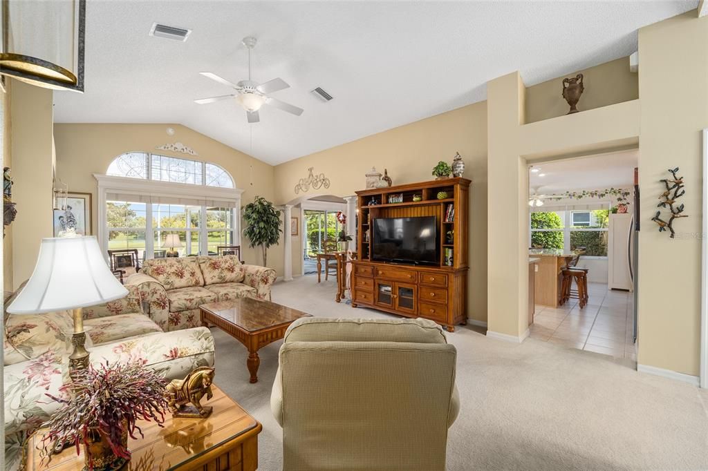 Vaulted Ceiling in Living Room