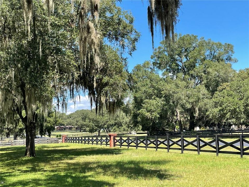 New fence up front