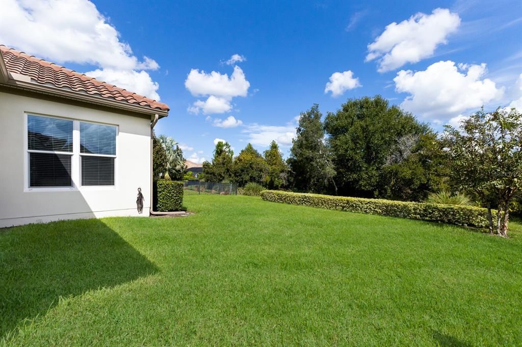 Spacious backyard with room for a pool