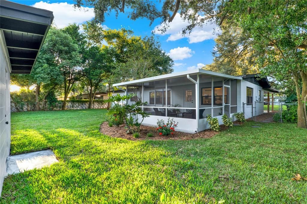 Shed in Backyard