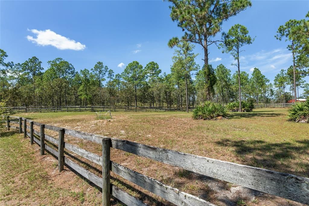 Three board fenced paddocks