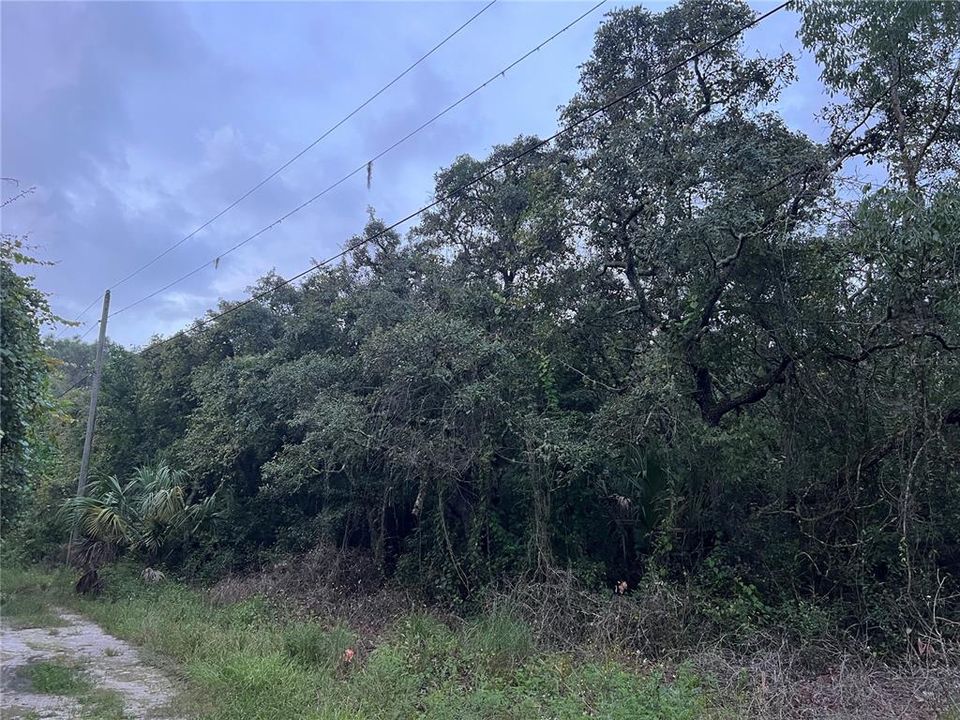 Activo con contrato: $94,999 (4.92 acres)