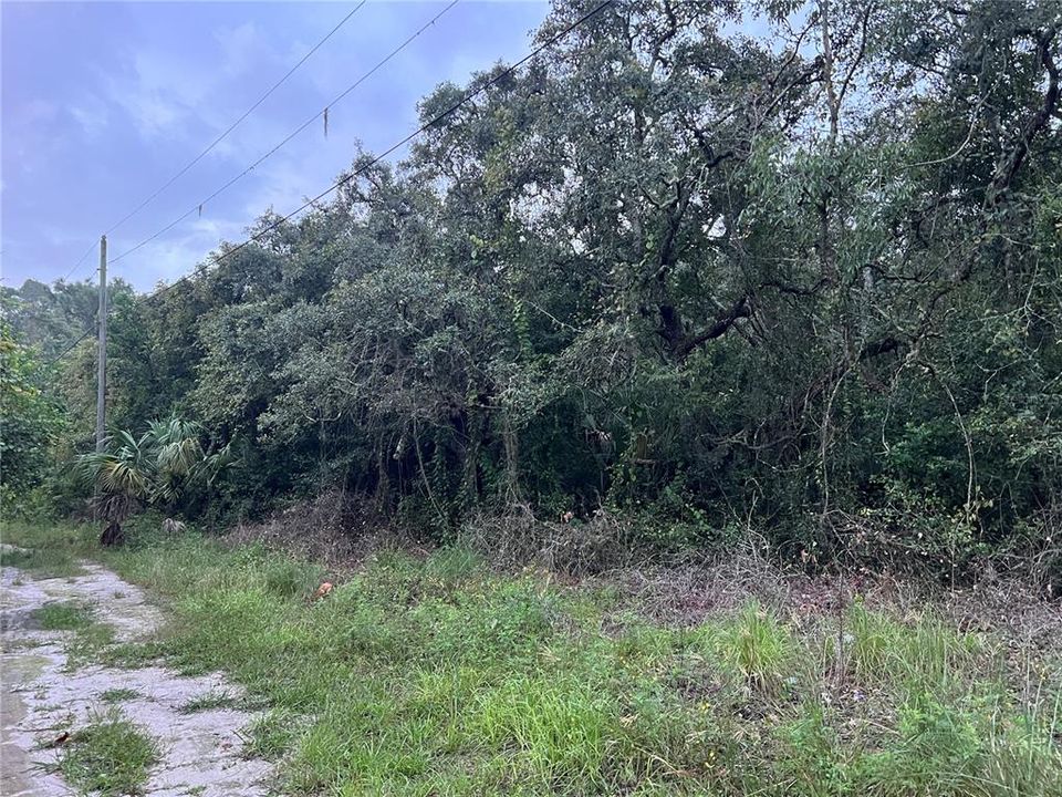 Activo con contrato: $94,999 (4.92 acres)