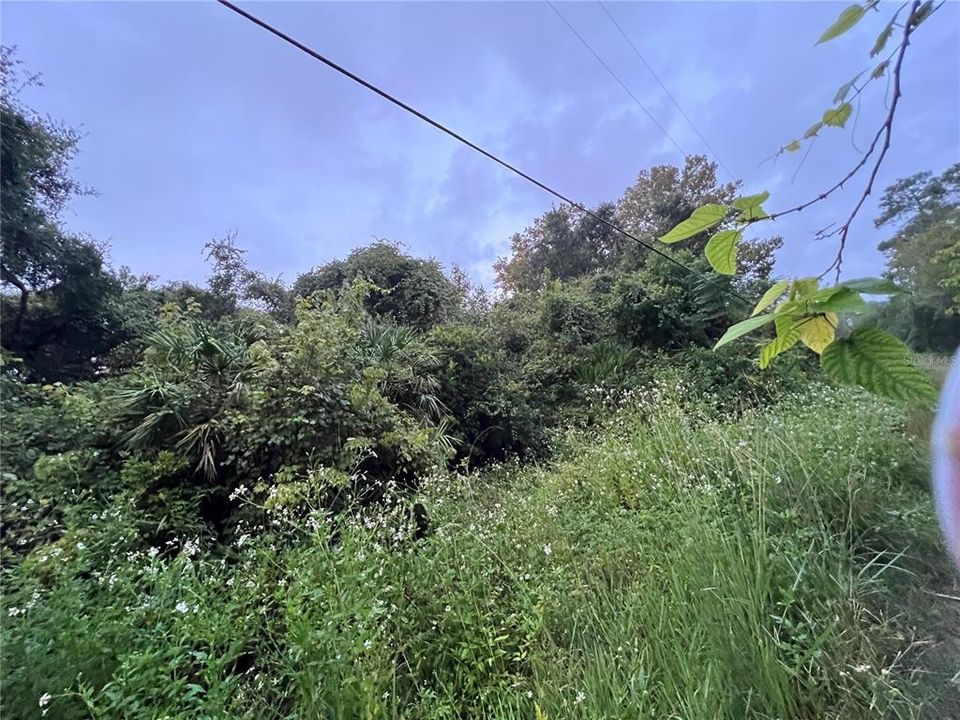 Activo con contrato: $94,999 (4.92 acres)