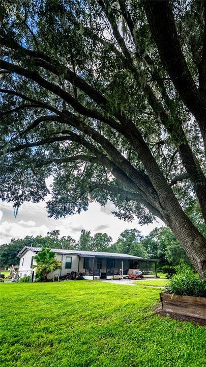 Swing View of House