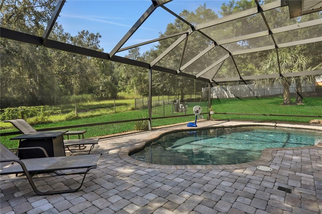 Pool and screened enclosure