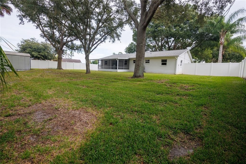 view of backyard