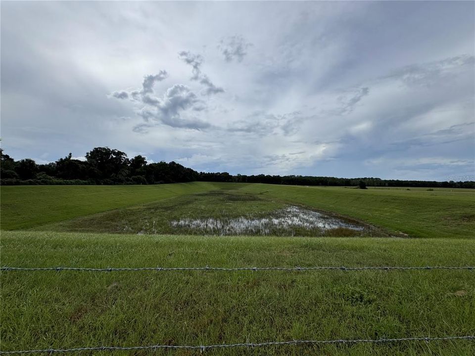 Marion County Retention Pond behind property.