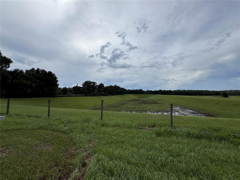 Marion County Retention Pond behind property.