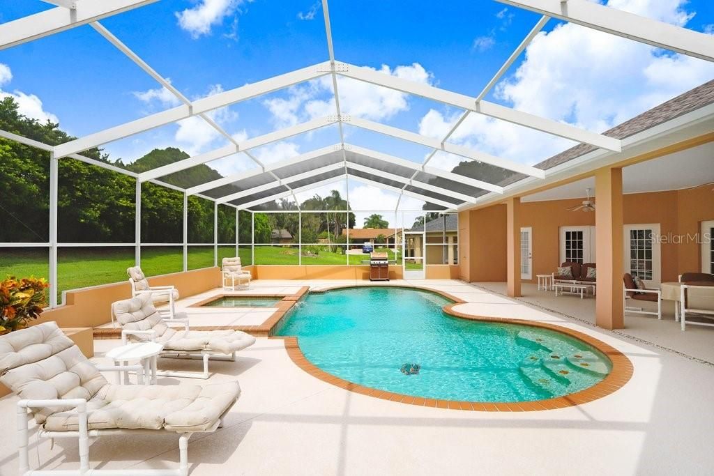 So much space!  Pool, lanai, and spa!