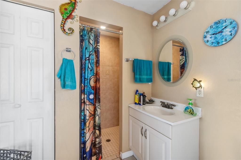 Guest bathroom