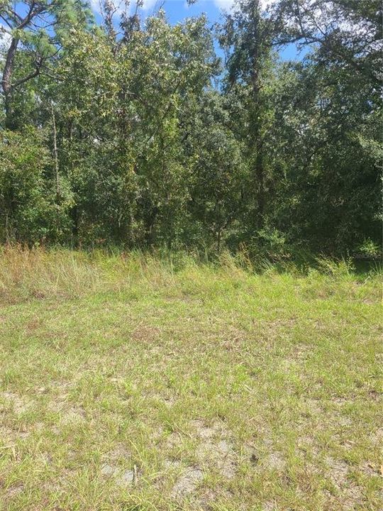 For Sale: $23,000 (0.25 acres)