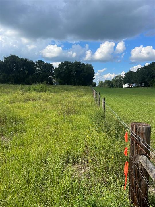 fence line on property