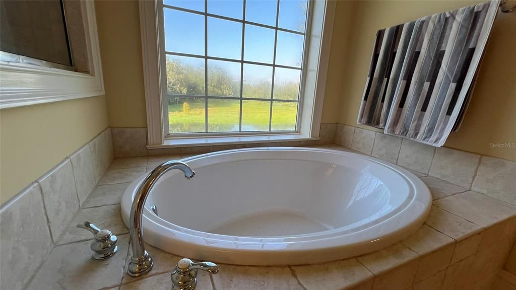 Master Bathroom tub