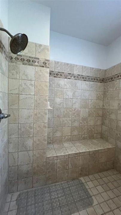 Master Bathroom shower