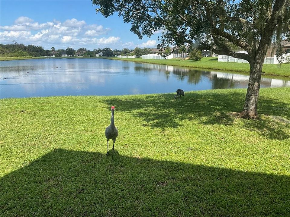 For Sale: $479,995 (4 beds, 2 baths, 2623 Square Feet)